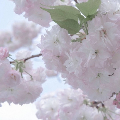 兽设科幻风格创作福瑞交流群